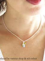 various shop �V���o�[�`�F�[���ƂՂ��X�g�[���̃l�b�N���X