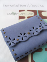 various shop �J�[�h�P�[�X