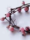 various shop�@�C���J���[�Y�̃l�b�N���X